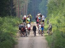 Cyclists on a forest road.