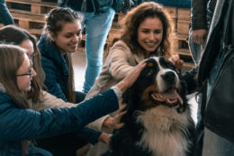 KTU students caress a Bernese Mountain Dog in a canine therapy session. The dog has long hair, white, brown and black.